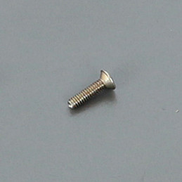 2x8mm Flat Screw (10)