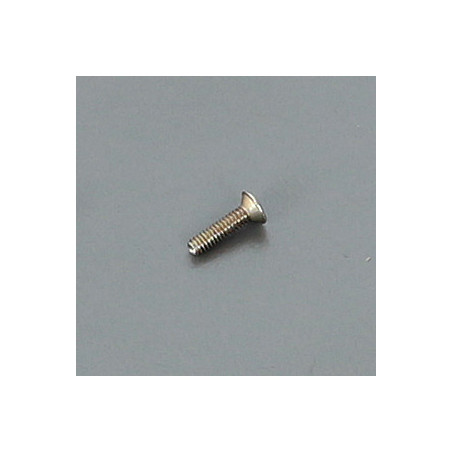 2x8mm Flat Screw (10)