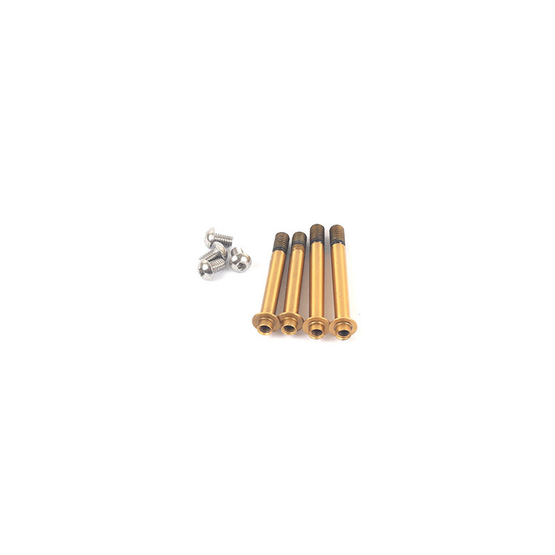 R8.3 Shock Shaft-Titanium Coating (4) R8.3 Shock Shaft-Titanium Coating (4)