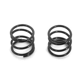 Brake Spring (2)