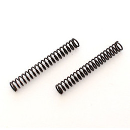 Throttle Spring (2)