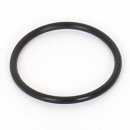 O'ring 13x1 (2pcs)