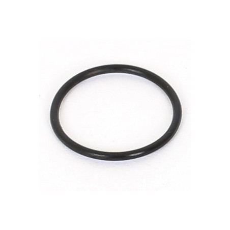 O'ring 13x1 (2pcs)