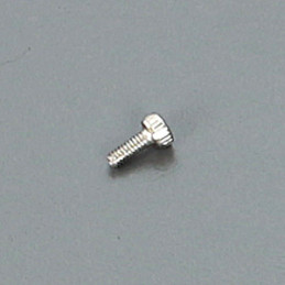 2x5mm Cap Screw (10)