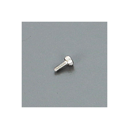 2x5mm Cap Screw (10)