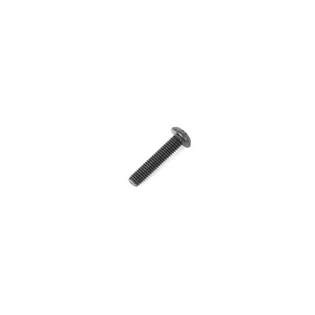 3x14 Round Screw (10)