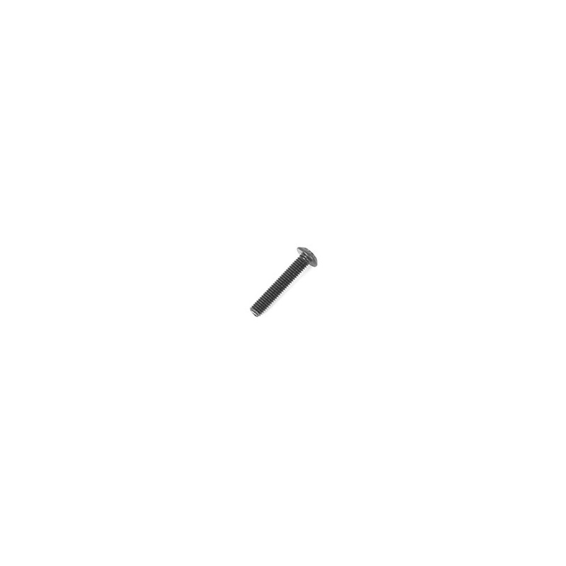 3x16 Round Screw (10) 3x16 Round Screw (10)