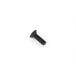 2.5x8mm Flat Screw (4)