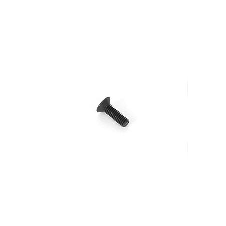 2.5x8mm Flat Screw (4)