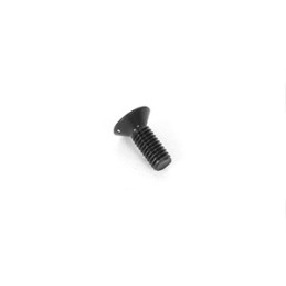 3x8mm Flat Screw (10)