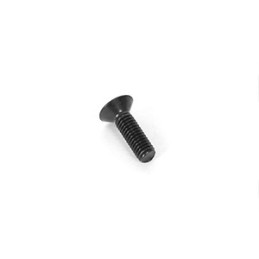 3x10mm Flat Screw (10)