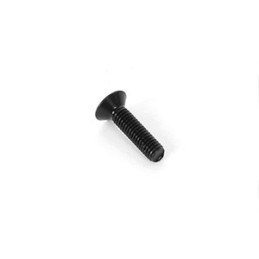 3x12mm Flat Screw (10)