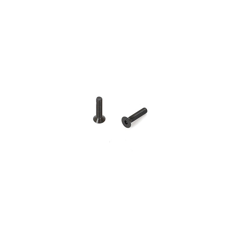 3x14mm Flat Screw (10) 3x14mm Flat Screw (10)