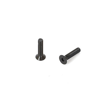 3x14mm Flat Screw (10)