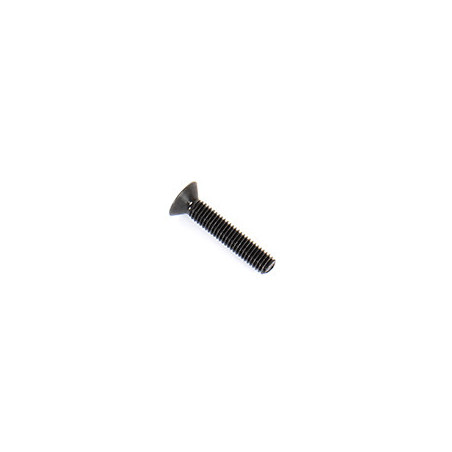 3x16mm Flat Screw (10)
