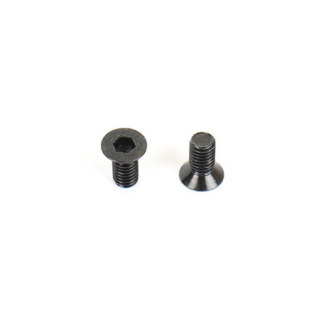 3x6mm Thin Flat Screw (10)