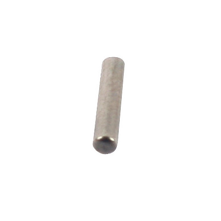 2x10mm Pin (10pcs)