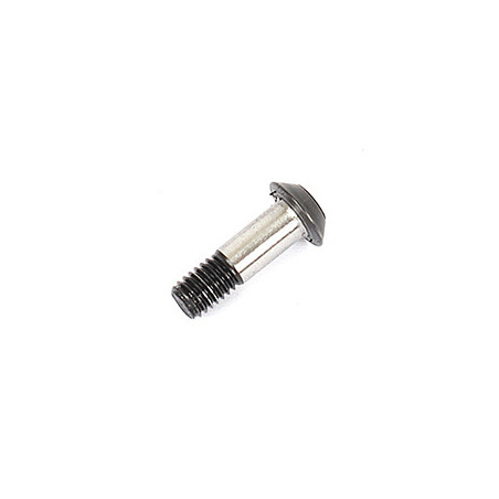 Ball Bearing Screw (2)